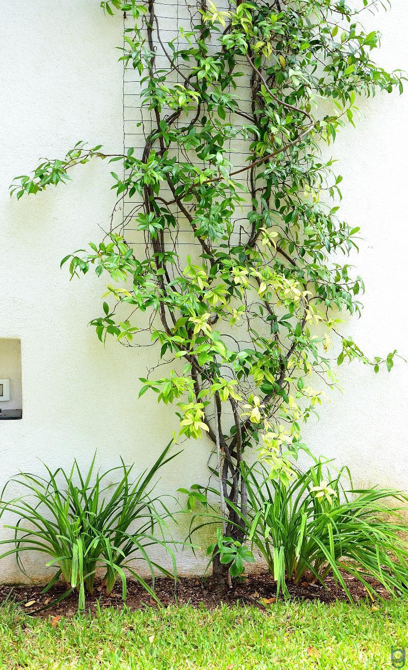 B&B Mondello Resort מראה חיצוני תמונה