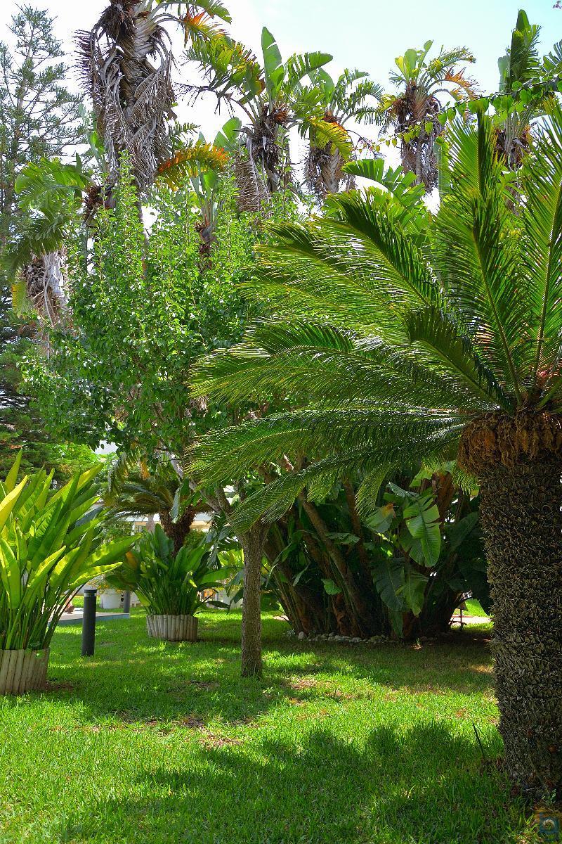 B&B Mondello Resort מראה חיצוני תמונה