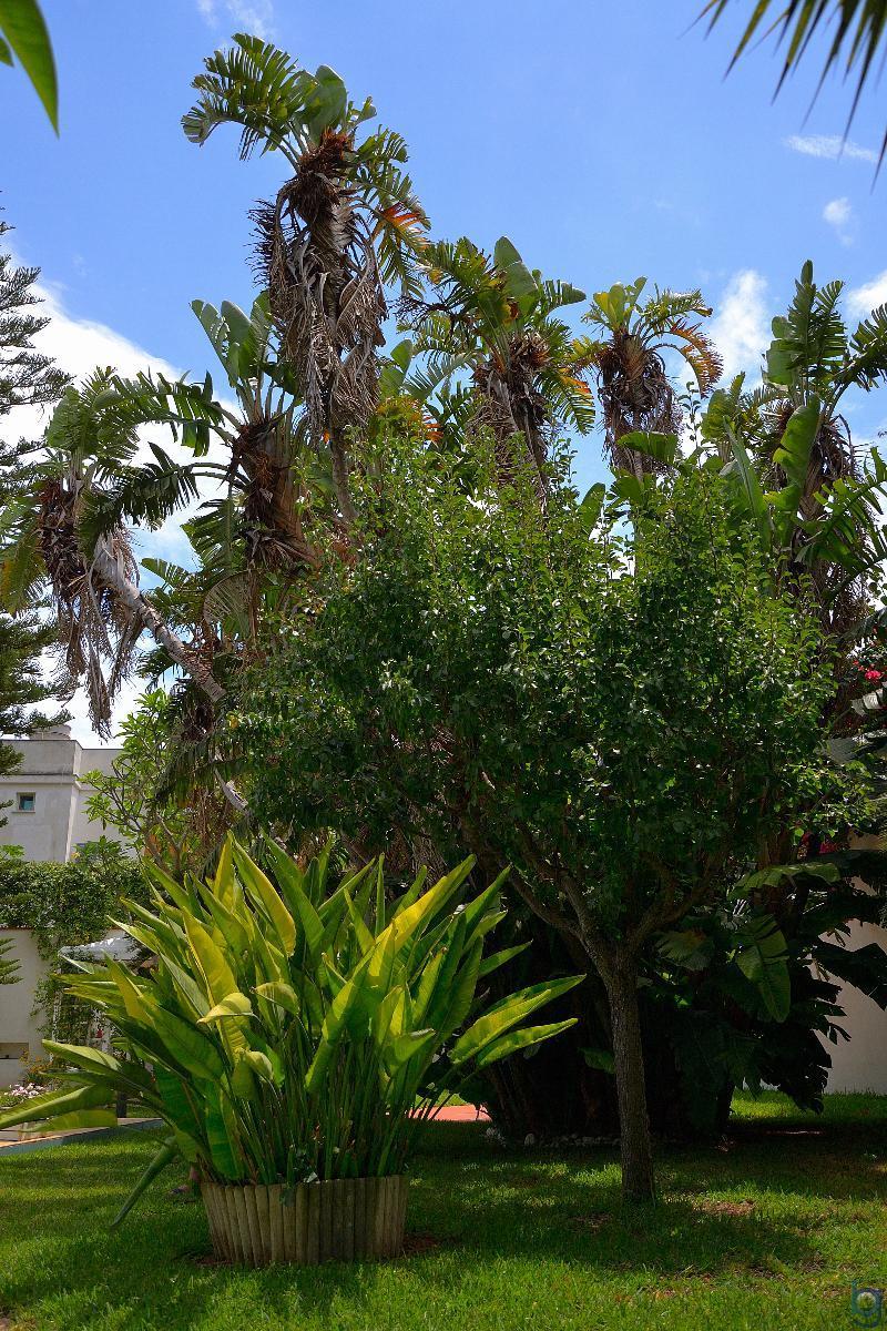 B&B Mondello Resort מראה חיצוני תמונה