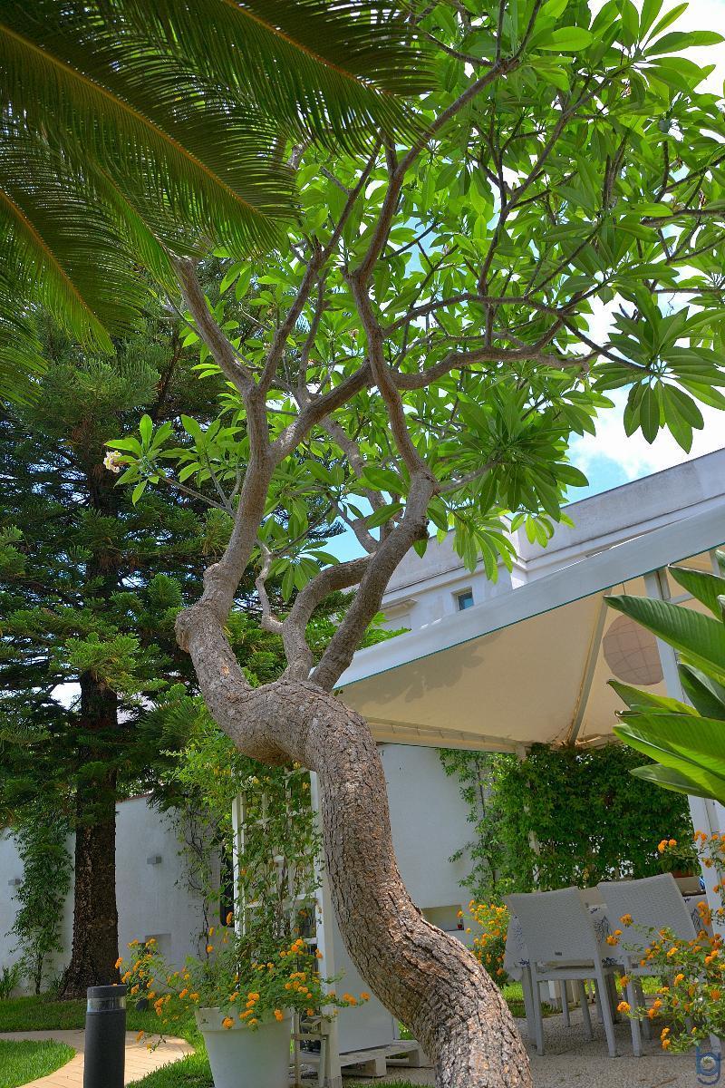 B&B Mondello Resort מראה חיצוני תמונה